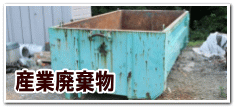�Y�Ɣp��������